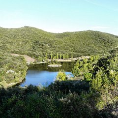 P1020842 (Copier)